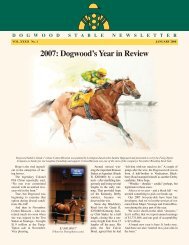 2007: Dogwood's Year in Review - Dogwood Stable