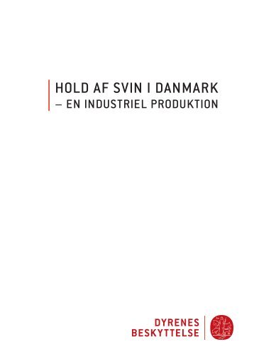 Hold af svin i Danmark - en industriel produktion - Dyrenes Beskyttelse
