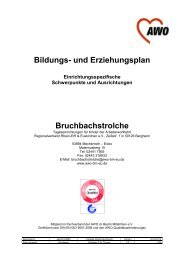 Bildungs- und Erziehungsplan Bruchbachstrolche - Awo