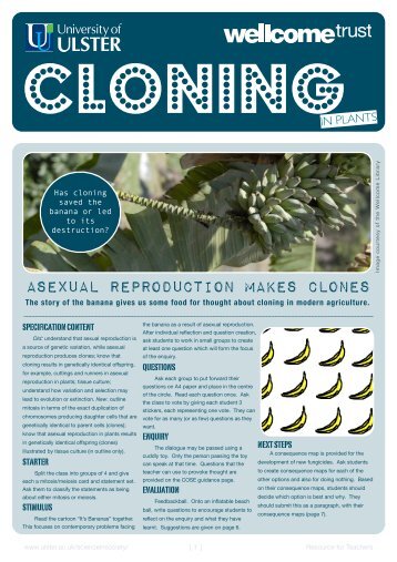 6 cloning plants