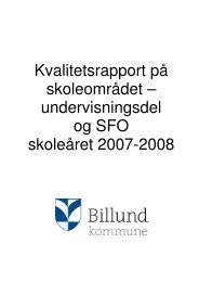 Kvalitetsrapport på skoleområdet ... - BillundSkolen