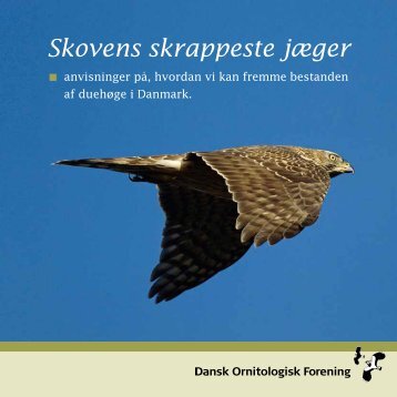 Skovens skrappeste jæger - Dansk Ornitologisk Forening