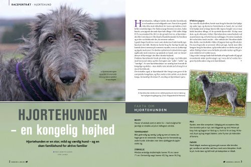 PDF-file: Hjortehunden - Dansk Kennel Klub