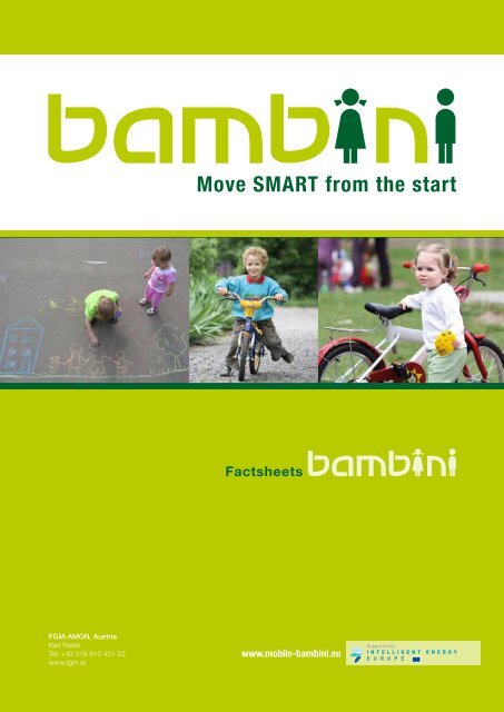 Factsheets - BAMBINI Project