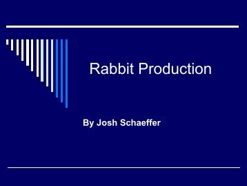 Rabbit production (PDF) - University of Missouri Extension