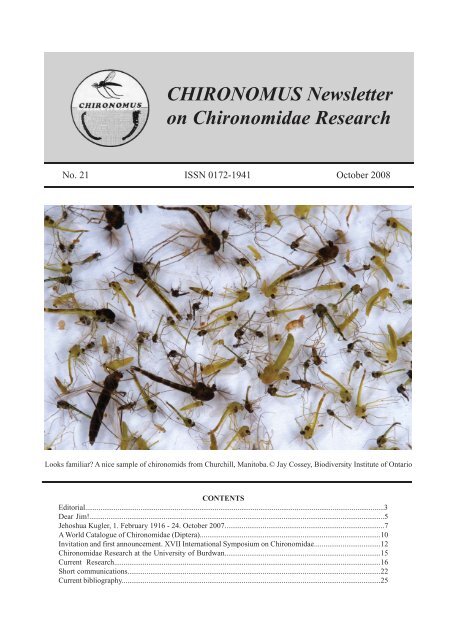 Chironomus - Insect Division