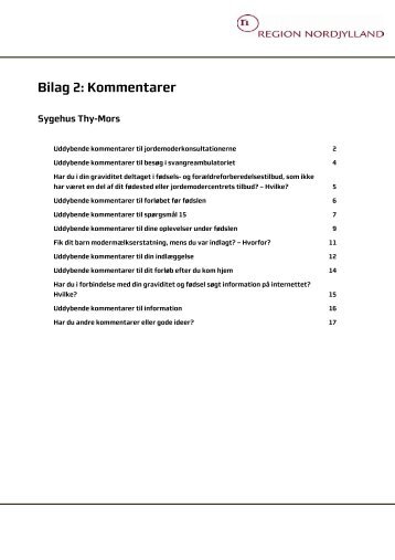 Bilag 2: Kommentarer - Region Midtjylland