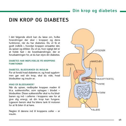 Patientvejledning type 2 diabetes - DSAM