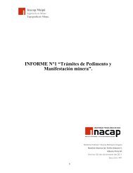 Informe Simple sobre trámites de manifestación y pedimento Minero.