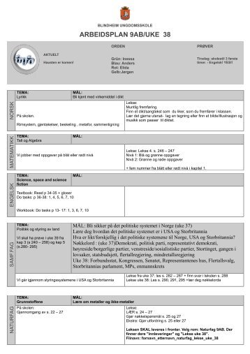 ARBEIDSPLAN 9AB/UKE 38