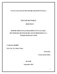 TEZĂ DE DOCTORAT - REZUMAT -