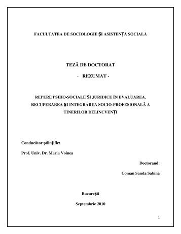 TEZĂ DE DOCTORAT - REZUMAT -