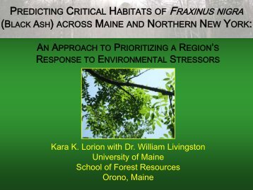 Presentation - The University of Maine - School of Forest Resources