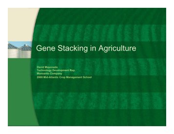 Gene Stacking in Agriculture