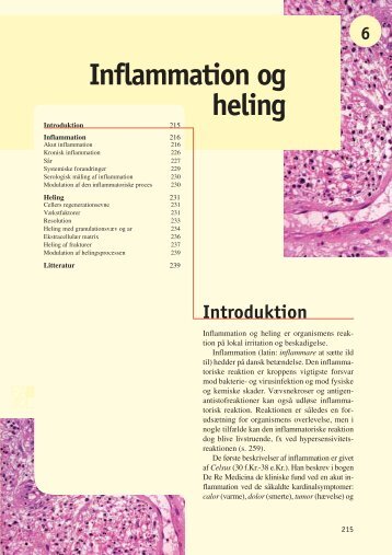 Inflammation og heling