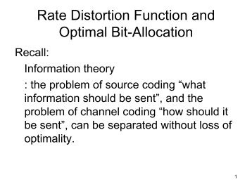 Rate Distortion Function and Optimal Bit-Allocation