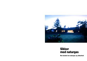 Sikker med naturgas - Gas i ditt hus