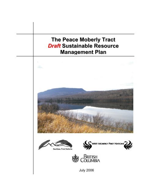 Final Draft Peace Moberly Tract SRMP - Integrated Land ...