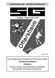 Kreisliga - Saison 2010 / 2011