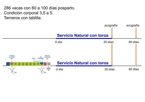 SCAAU – Inseminación Artificial a Tiempo Fijo