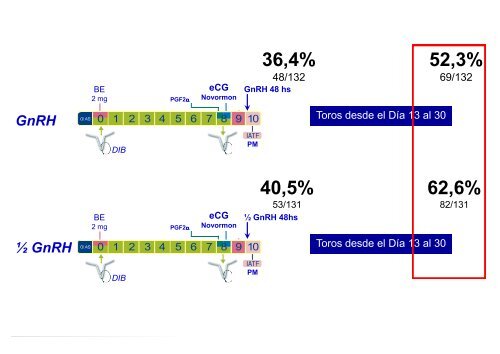 SCAAU – Inseminación Artificial a Tiempo Fijo