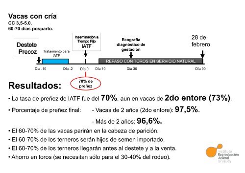 SCAAU – Inseminación Artificial a Tiempo Fijo