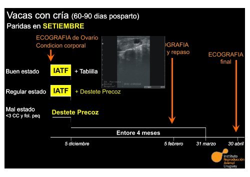 SCAAU – Inseminación Artificial a Tiempo Fijo