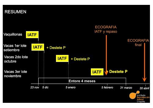 SCAAU – Inseminación Artificial a Tiempo Fijo