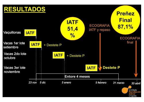 SCAAU – Inseminación Artificial a Tiempo Fijo