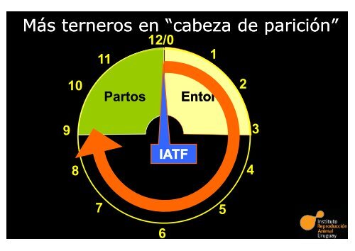 SCAAU – Inseminación Artificial a Tiempo Fijo