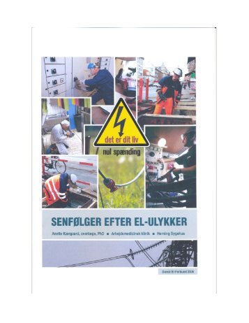 Senfølger efter elulykker - Armoni