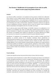 Post Doctorat : Modélisation de la propagation d'une onde de souffle ...