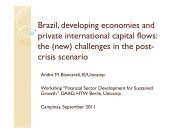 Brazil, developing economies and private international capital flows ...