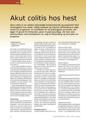 Akut colitis hos hest - Elbo