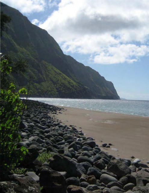 'O ke kahua ma mua, ma hope ke kūkulu.