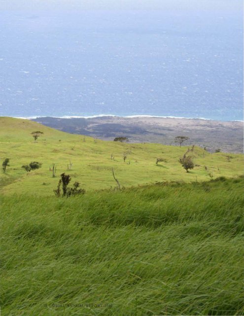 'O ke kahua ma mua, ma hope ke kūkulu.