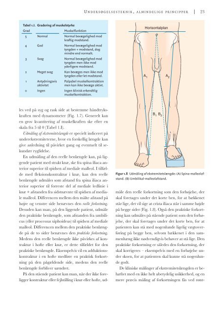 Diagnostisk metodik