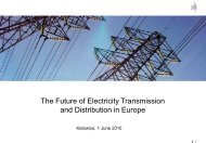 The Future of Electricity Transmission and Distribution in ... - p.wnp.pl