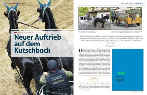 Neuer Auftrieb auf dem Kutschbock - Mecklenburger Pferde