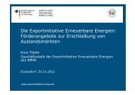 Die Exportinitiative Erneuerbare Energien: Förderangebote zur ...