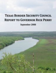 Texas Border Security Council Report to Governor Rick Perry