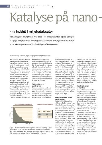 Katalyse på nano-skala - ny indsigt i miljøkatalysator - Viden (JP)