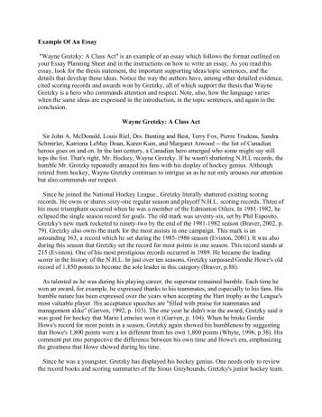 Diagnostic essay examples