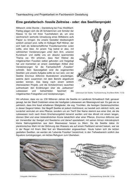 Eine gestalterisch- fossile Zeitreise - oder: das ... - Steinkern