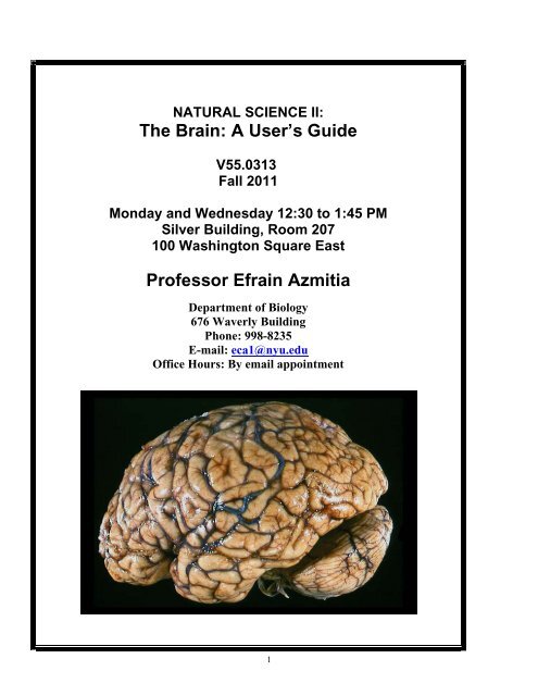 The Brain: A User's Guide Professor Efrain Azmitia