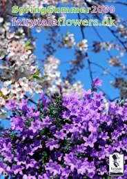 fairytaleflowers.dk - Gartneriet PKM