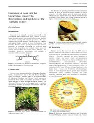 Curcumin/Eric Lachman - UC Davis