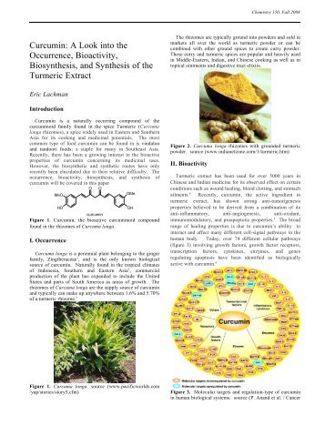 Curcumin/Eric Lachman - UC Davis