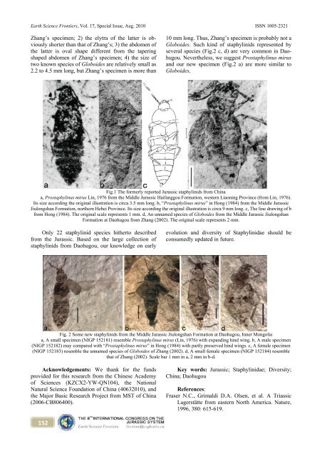 in Jurassic and Cretaceous Stratigraphy