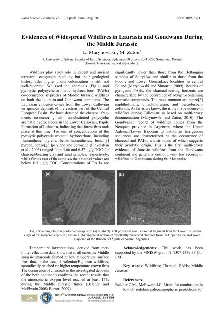 in Jurassic and Cretaceous Stratigraphy